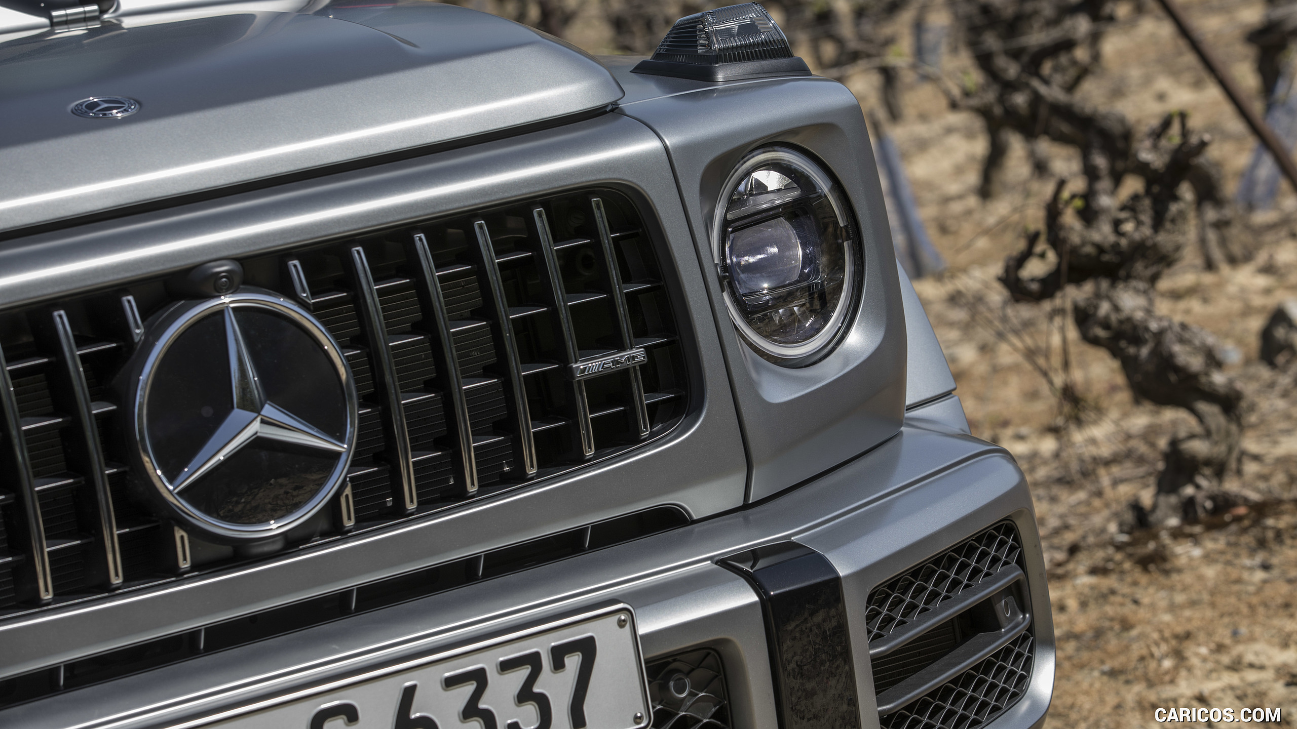 2019 Mercedes-AMG G63 - Grille, #168 of 452