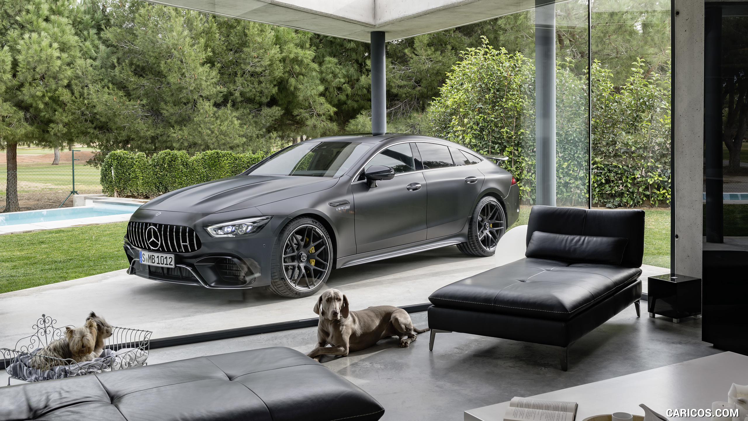 2019 Mercedes-AMG GT 63 S 4MATIC+ 4-Door Coupe (Color: Graphite Grey Magno) - Side, #13 of 427