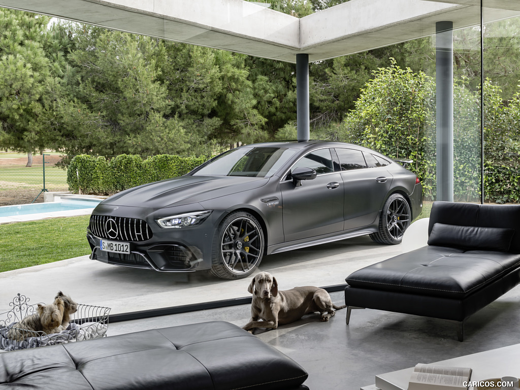 2019 Mercedes-AMG GT 63 S 4MATIC+ 4-Door Coupe (Color: Graphite Grey Magno) - Side