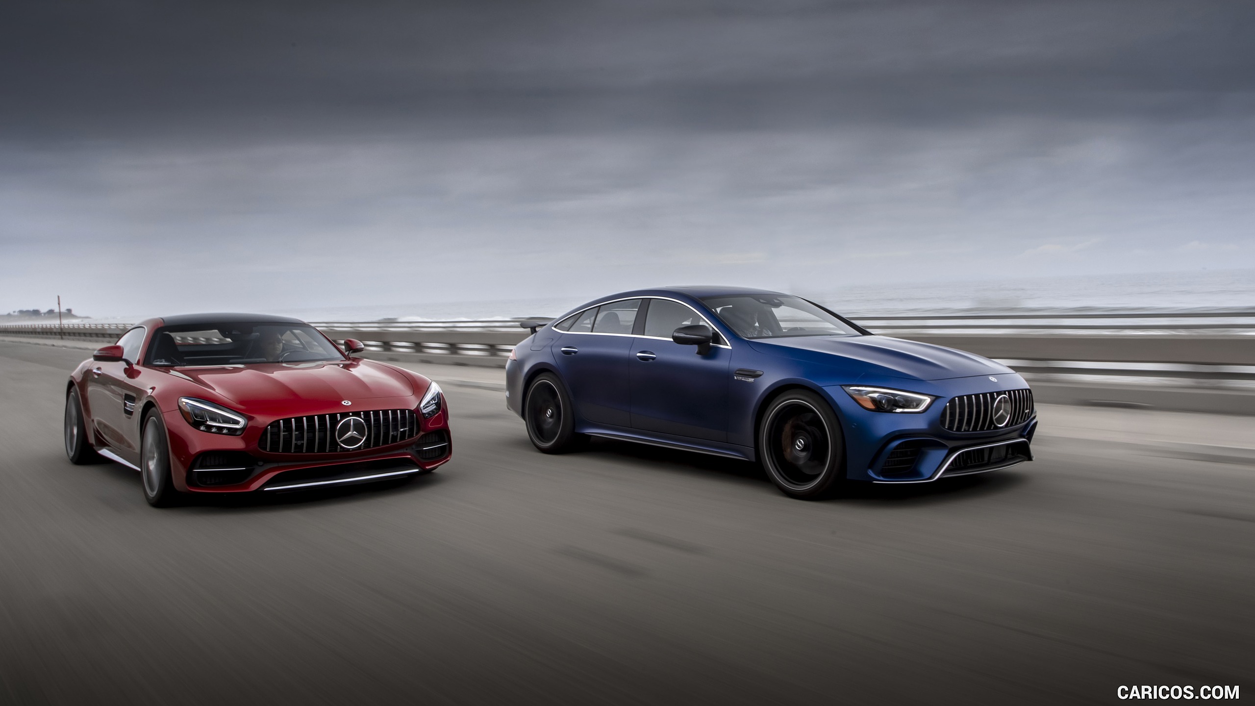 2019 Mercedes-AMG GT Family , #286 of 427