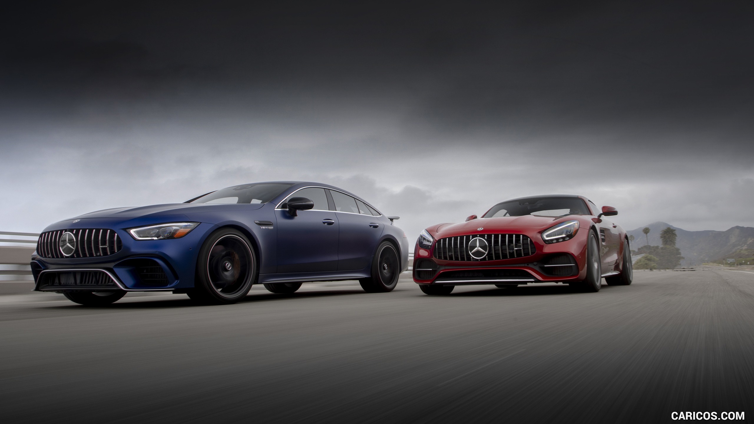 2019 Mercedes-AMG GT Family , #289 of 427