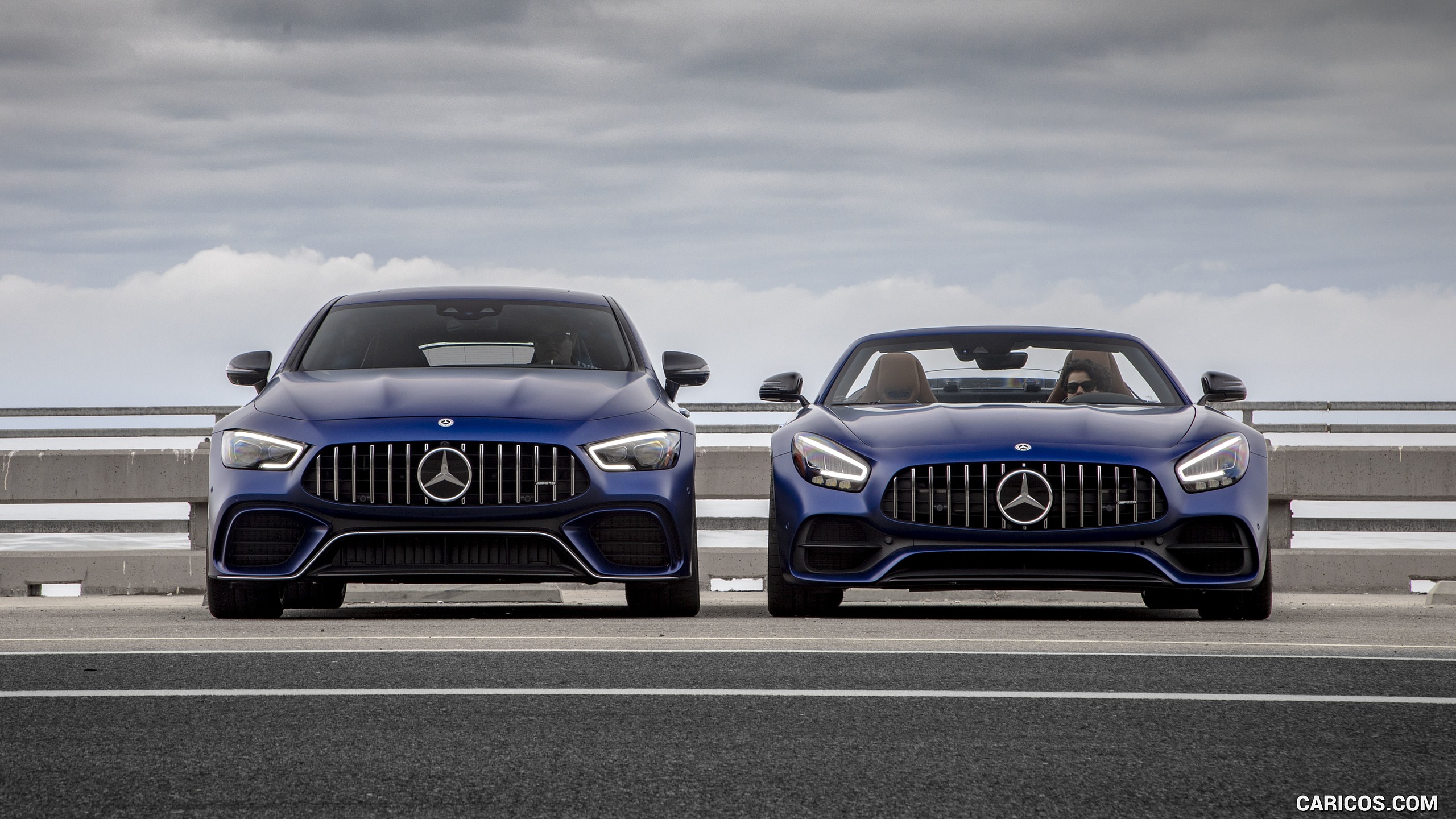 2019 Mercedes-AMG GT Family , #293 of 427