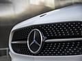 2019 Mercedes-Benz A-Class Sedan (US-Spec) - Grille