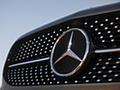 2019 Mercedes-Benz A220 4MATIC Sedan (US-Spec) - Grille