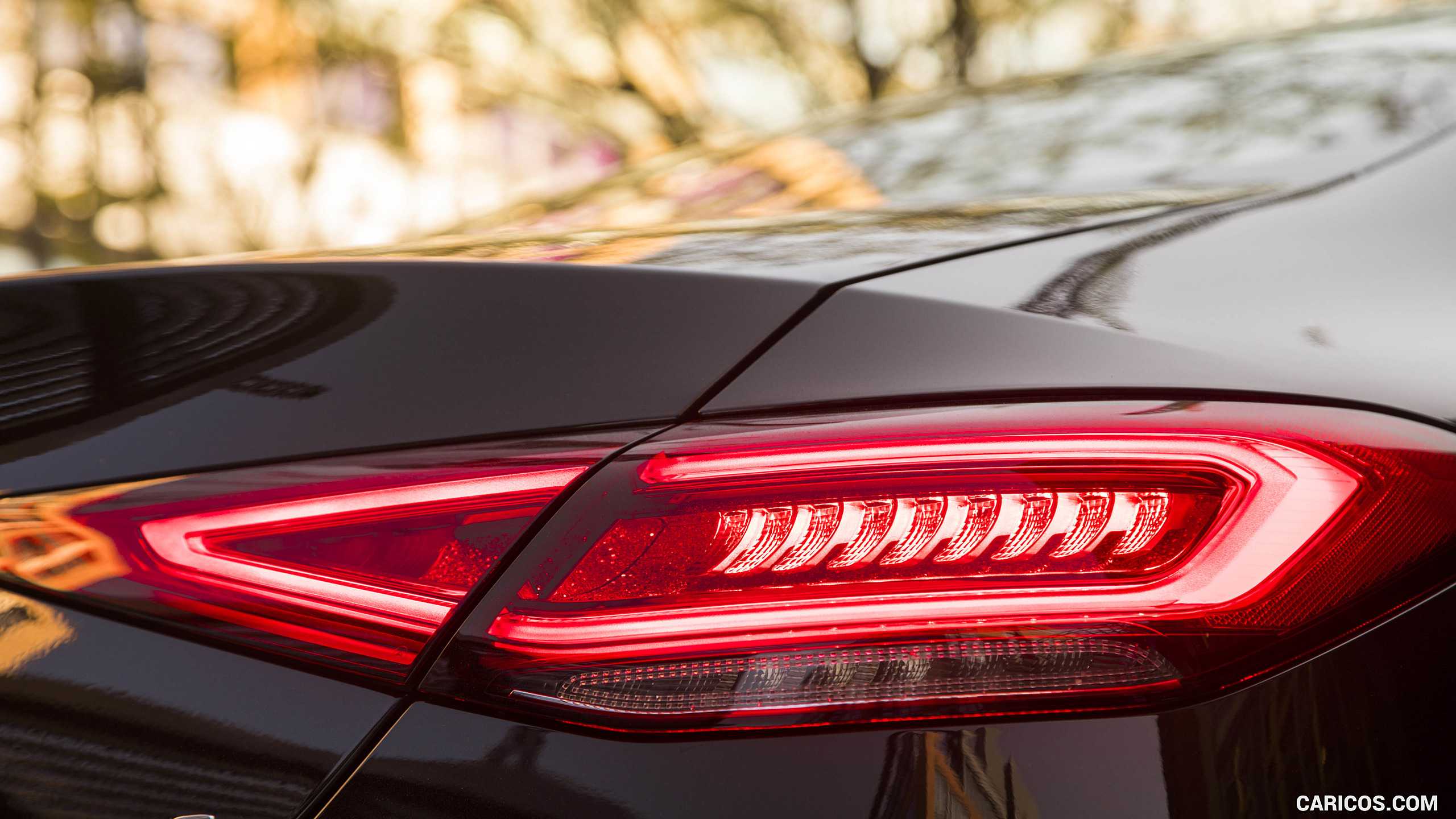 2019 Mercedes-Benz CLS 450 4MATIC (US-Spec) - Tail Light, #176 of 231