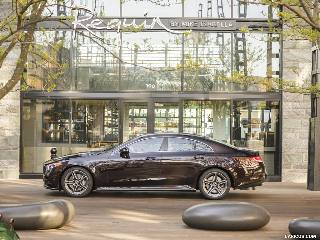 2019 Mercedes-Benz CLS 450 4MATIC (US-Spec) - Side