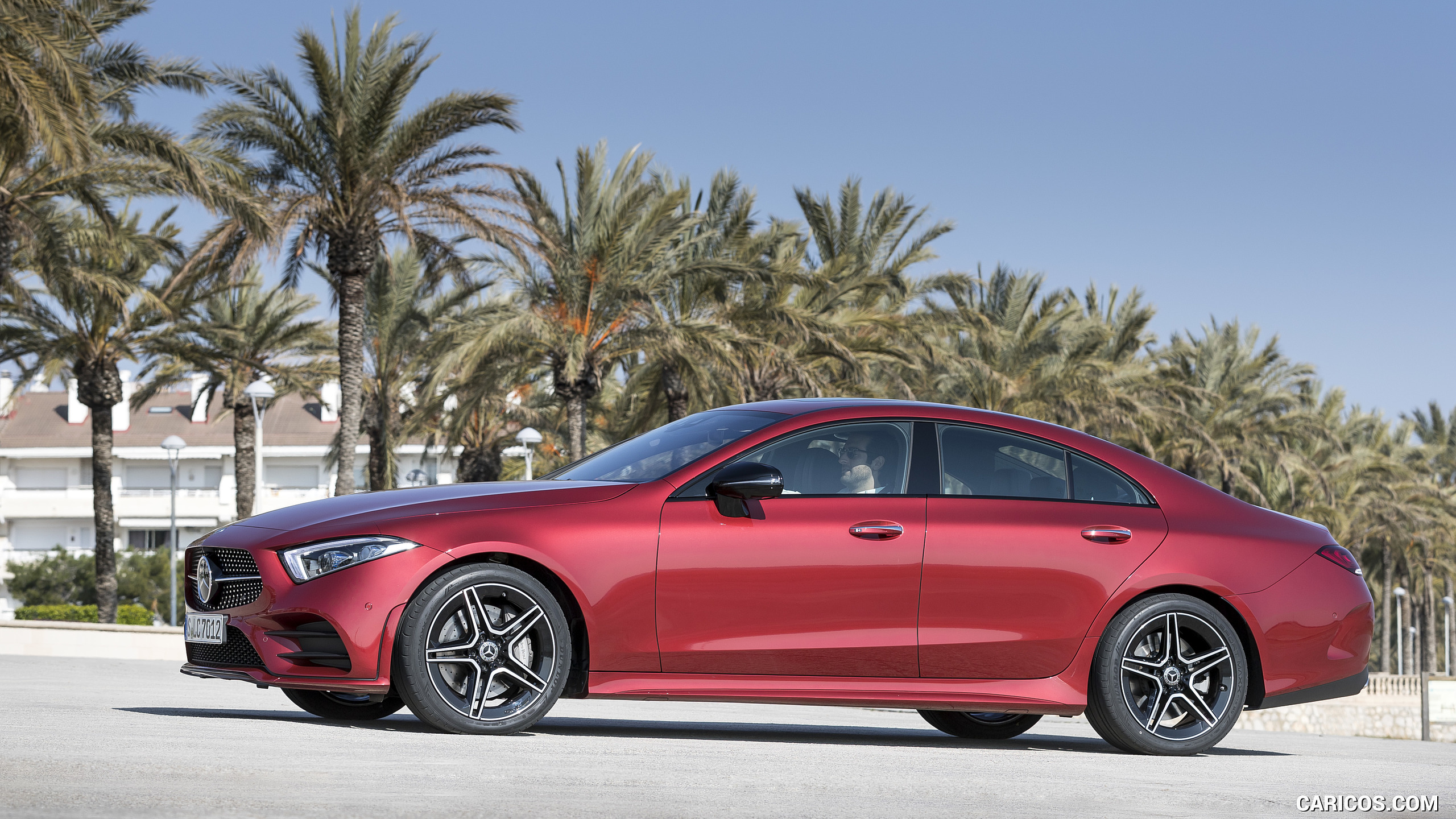 2019 Mercedes-Benz CLS 450 4MATIC - Side, #82 of 231