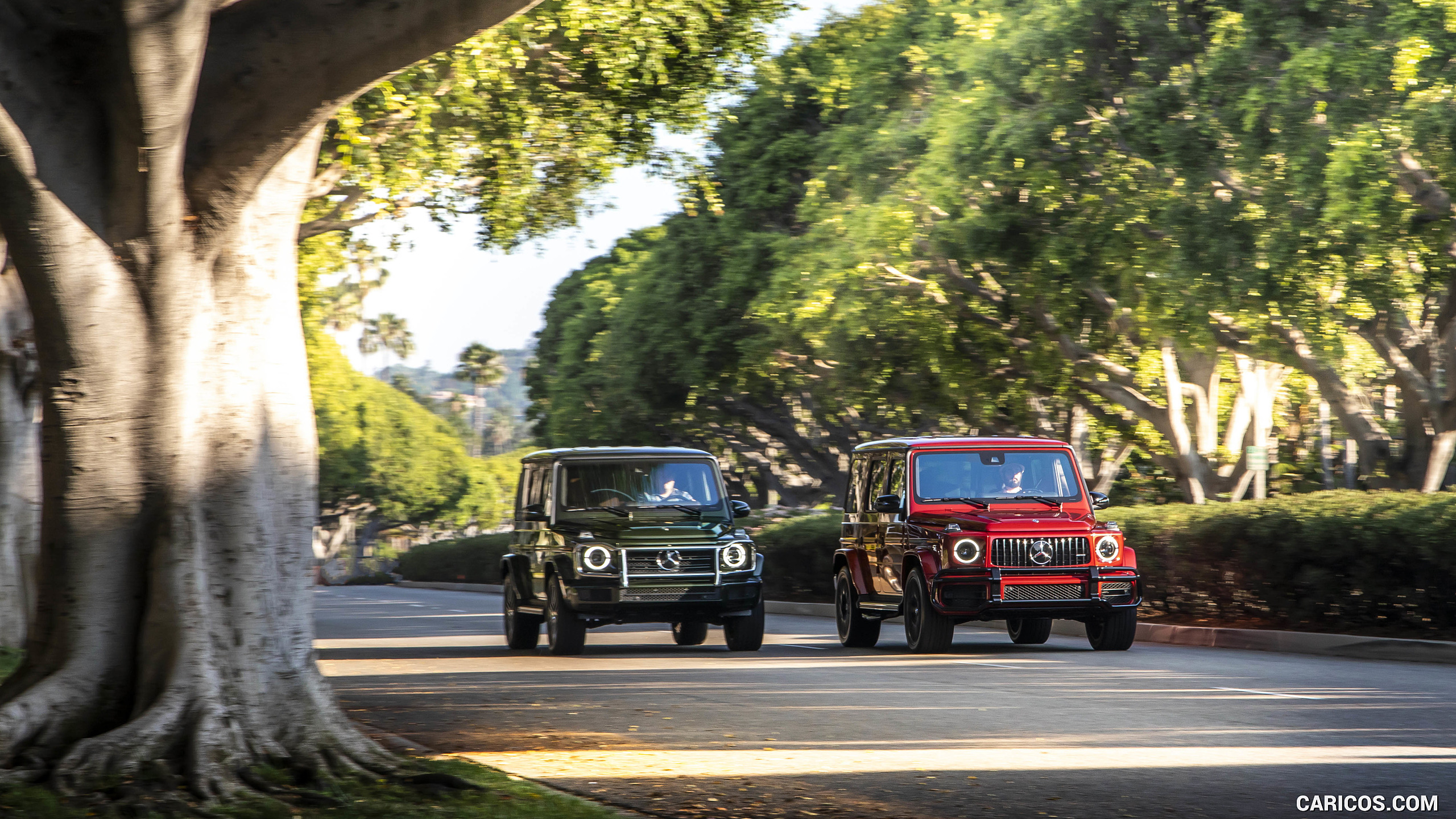 2019 Mercedes-Benz G550 G-Class (U.S.-Spec) and 2019 G63 AMG, #274 of 397