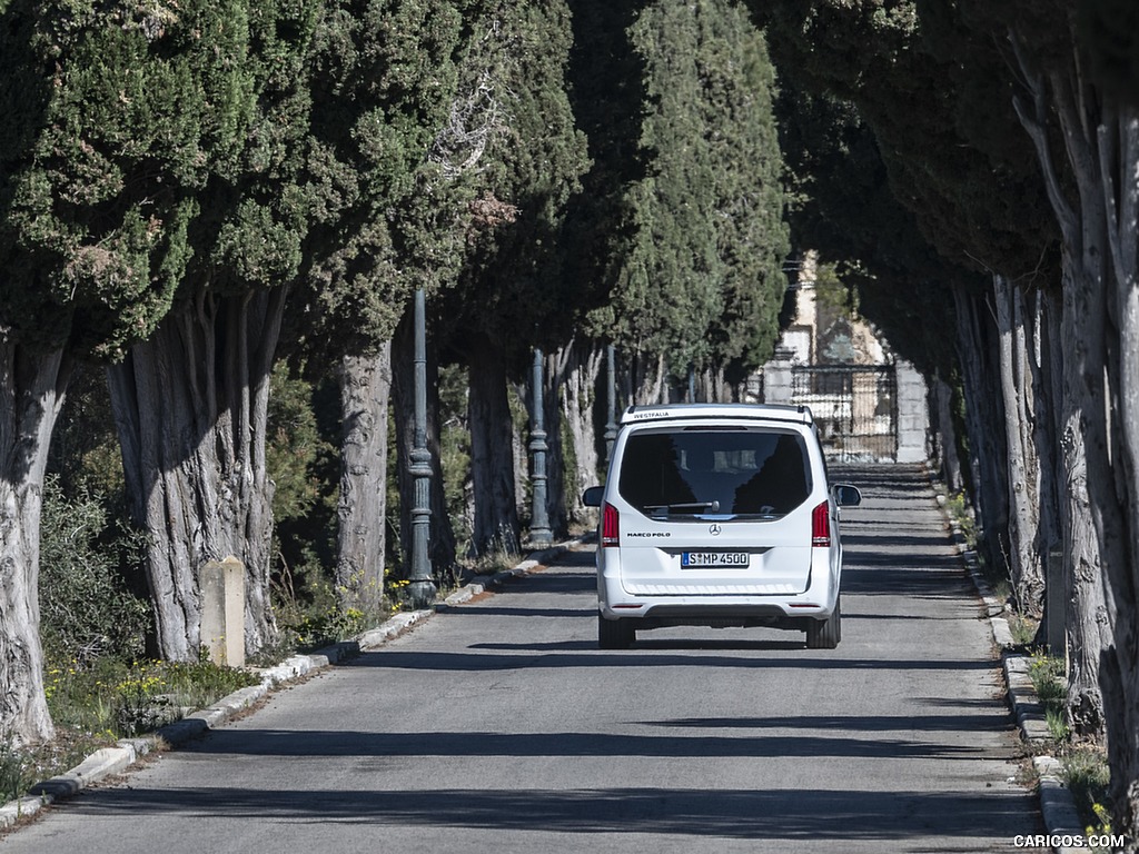 2019 Mercedes-Benz V-Class Marco Polo 300d AMG Line (Color: Mountain Crystal White Metallic) - Rear