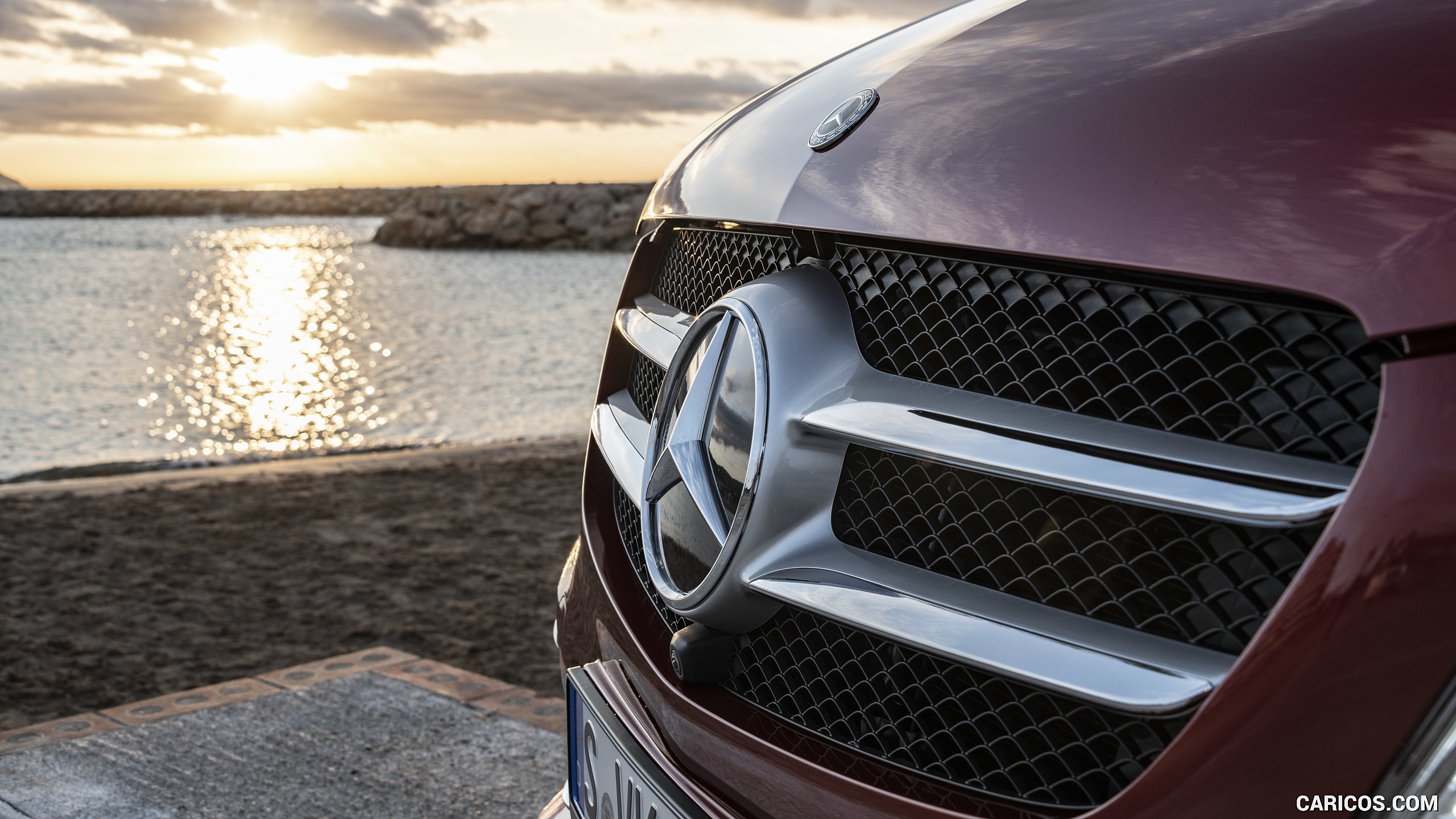 2019 Mercedes-Benz V-Class V300d EXCLUSIVE (Color: Hyazinth Red Metallic) - Grille, #164 of 216