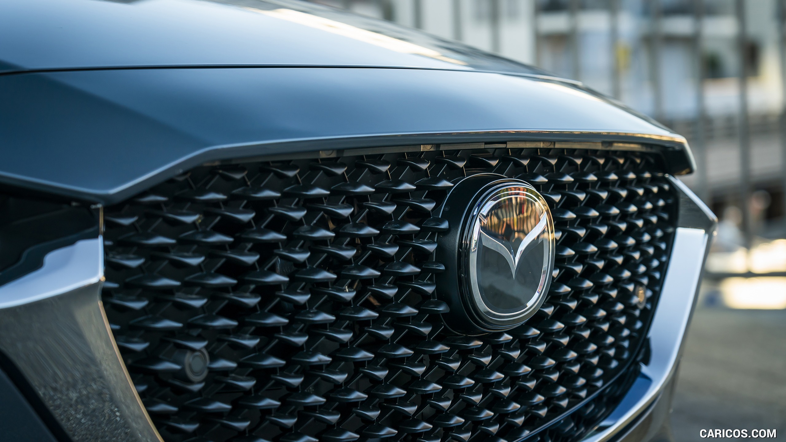 2020 Mazda CX-30 (Color: Polymetal Grey) - Grille, #147 of 226