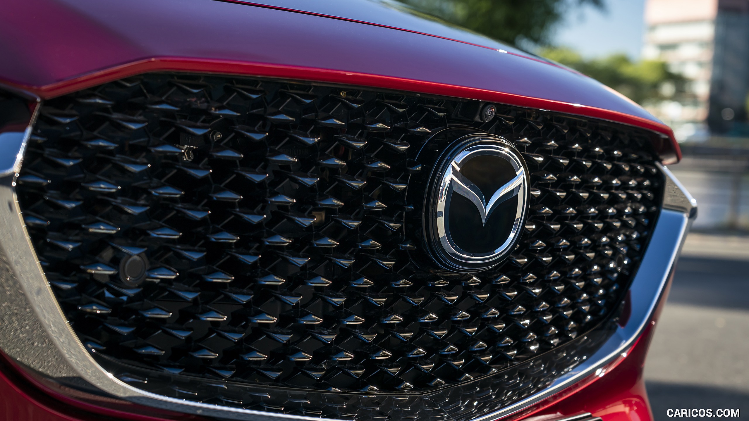 2020 Mazda CX-30 (Color: Soul Red Crystal) - Grille, #78 of 226