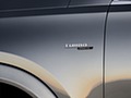 2020 Mercedes-AMG GLE 53 4MATIC+ (Color: Selenite Grey) - Detail