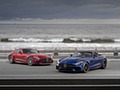 2020 Mercedes-AMG GT C Coupe and AMG GT C Roadster 
