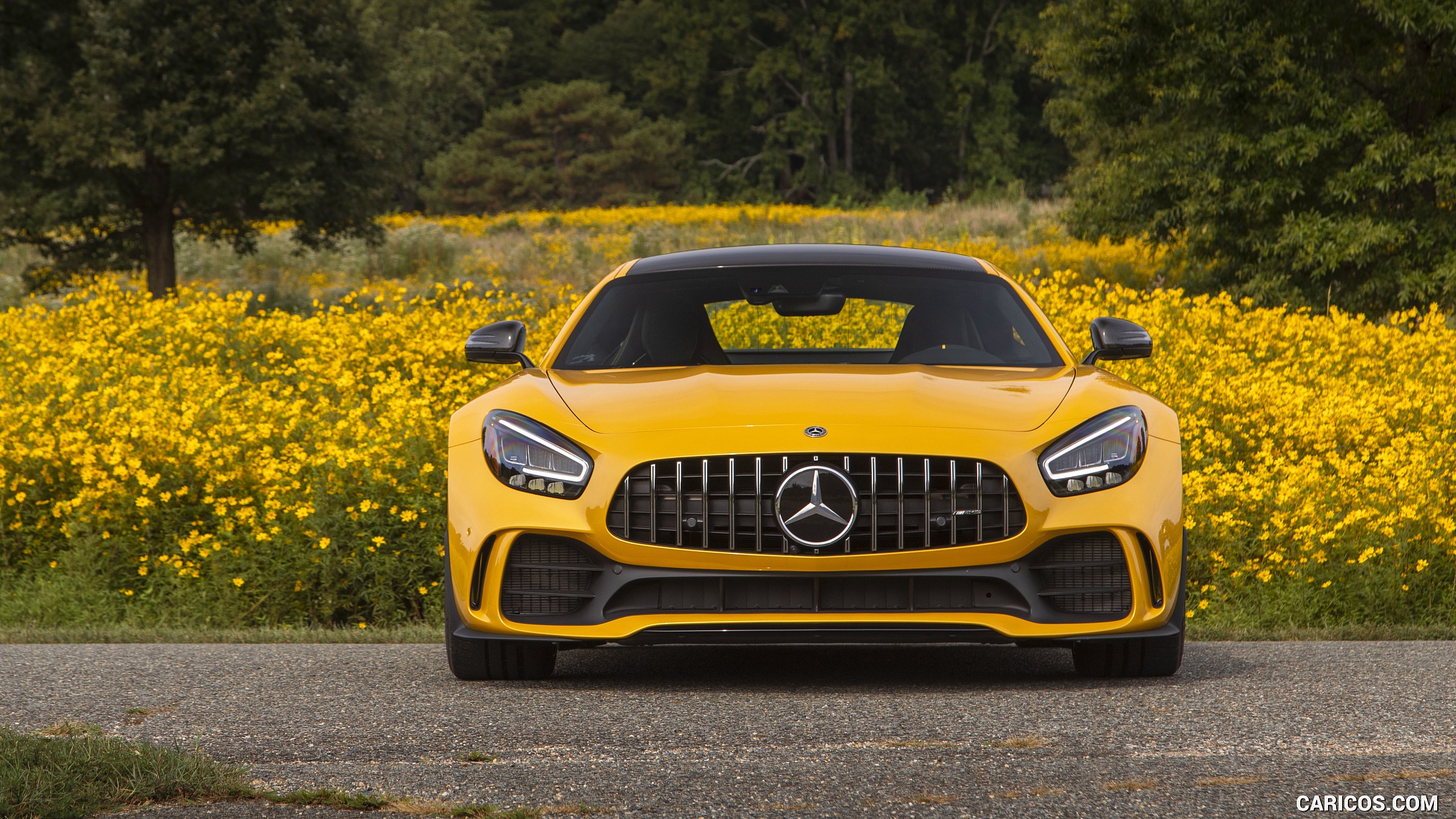 2020 Mercedes-AMG GT R Coupe (US-Spec) - Front, #283 of 328