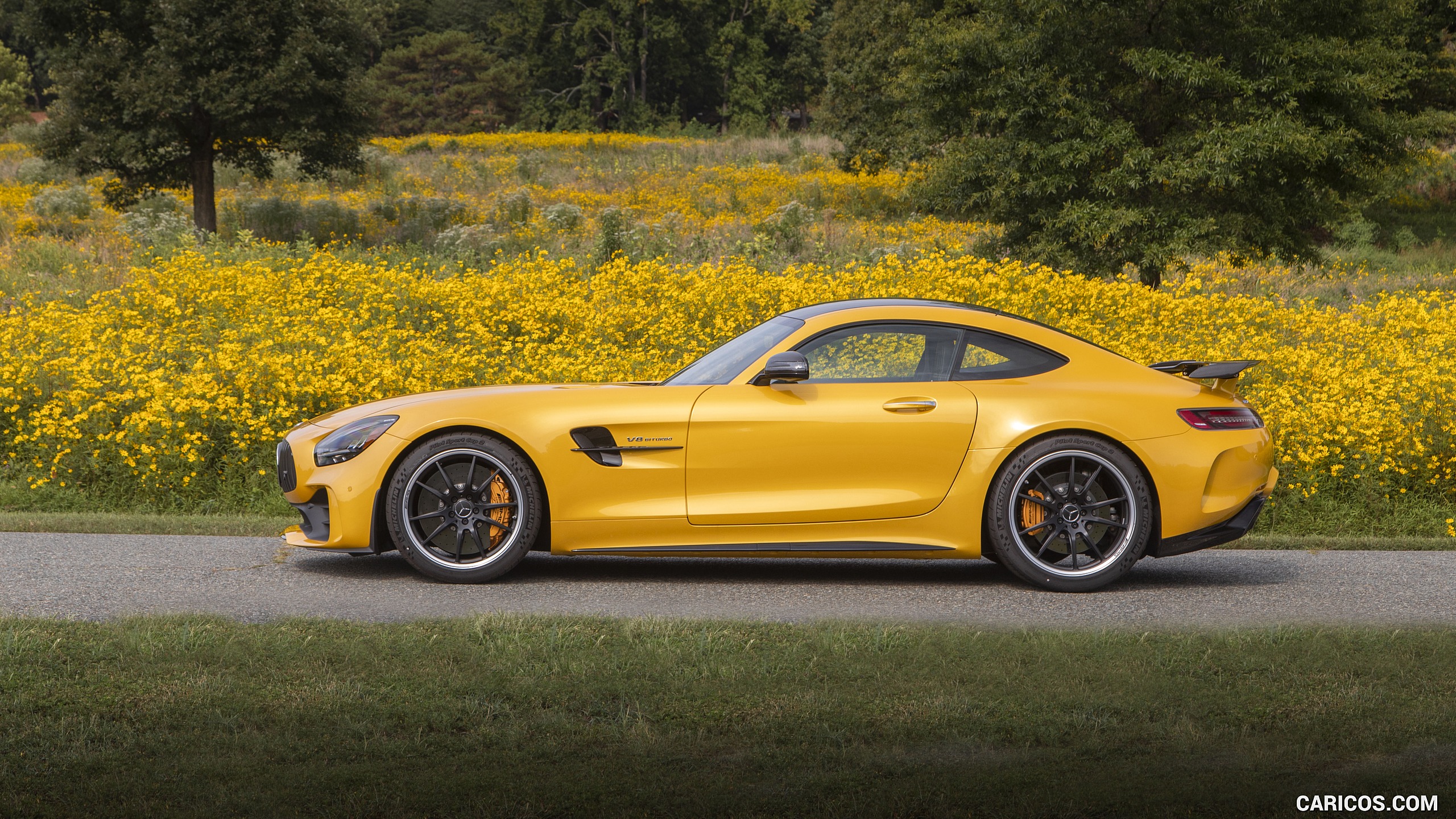 2020 Mercedes-AMG GT R Coupe (US-Spec) - Side, #280 of 328