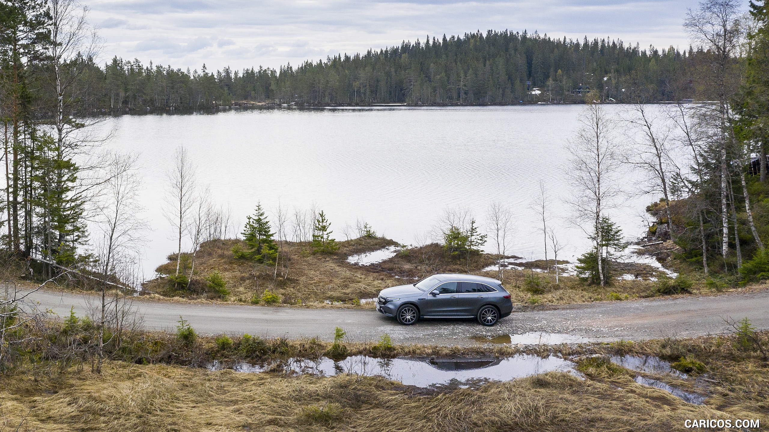 2020 Mercedes-Benz EQC (Gray) , #174 of 398