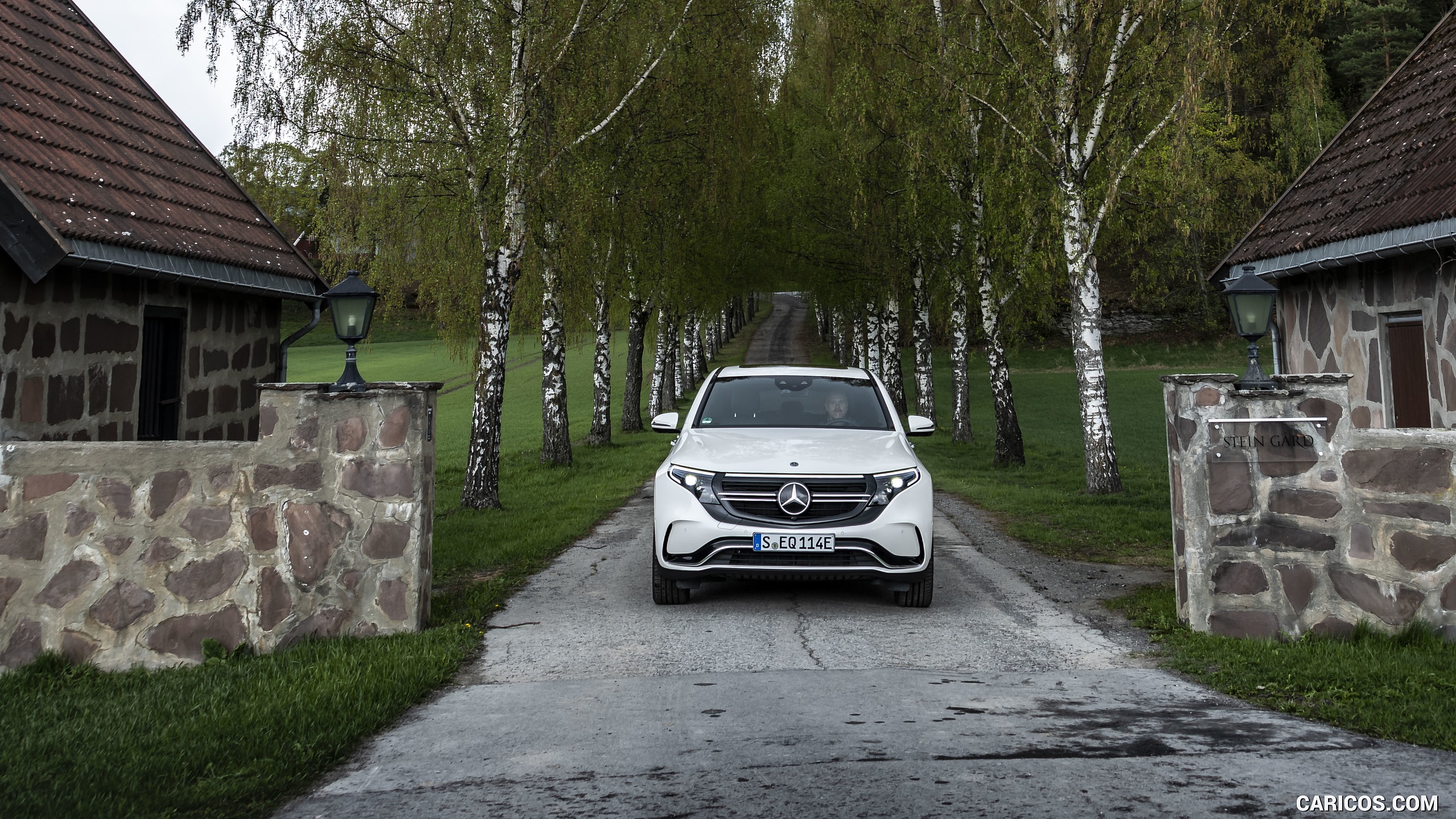 2020 Mercedes-Benz EQC (White) - Front, #313 of 398
