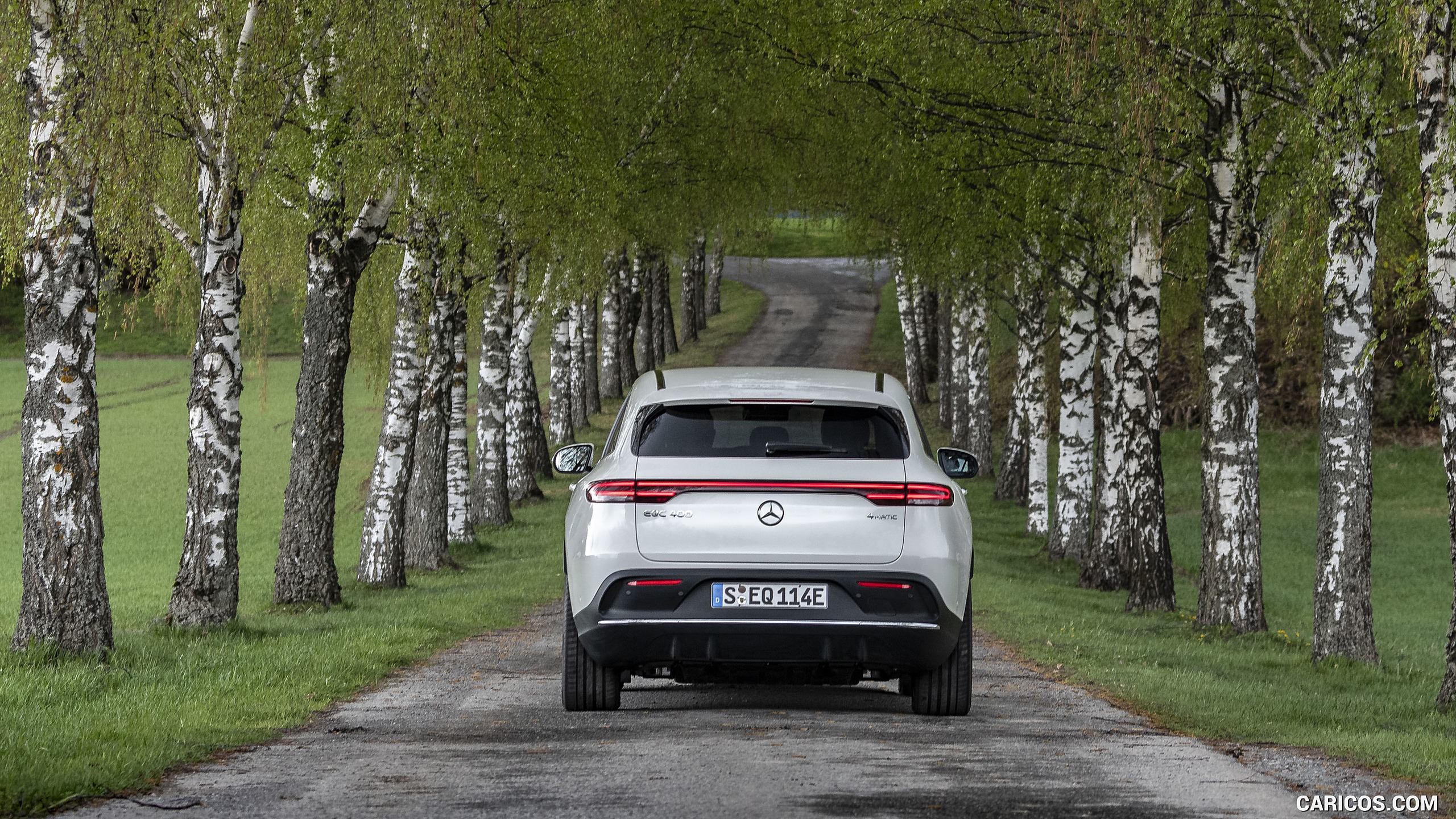 2020 Mercedes-Benz EQC (White) - Rear, #311 of 398