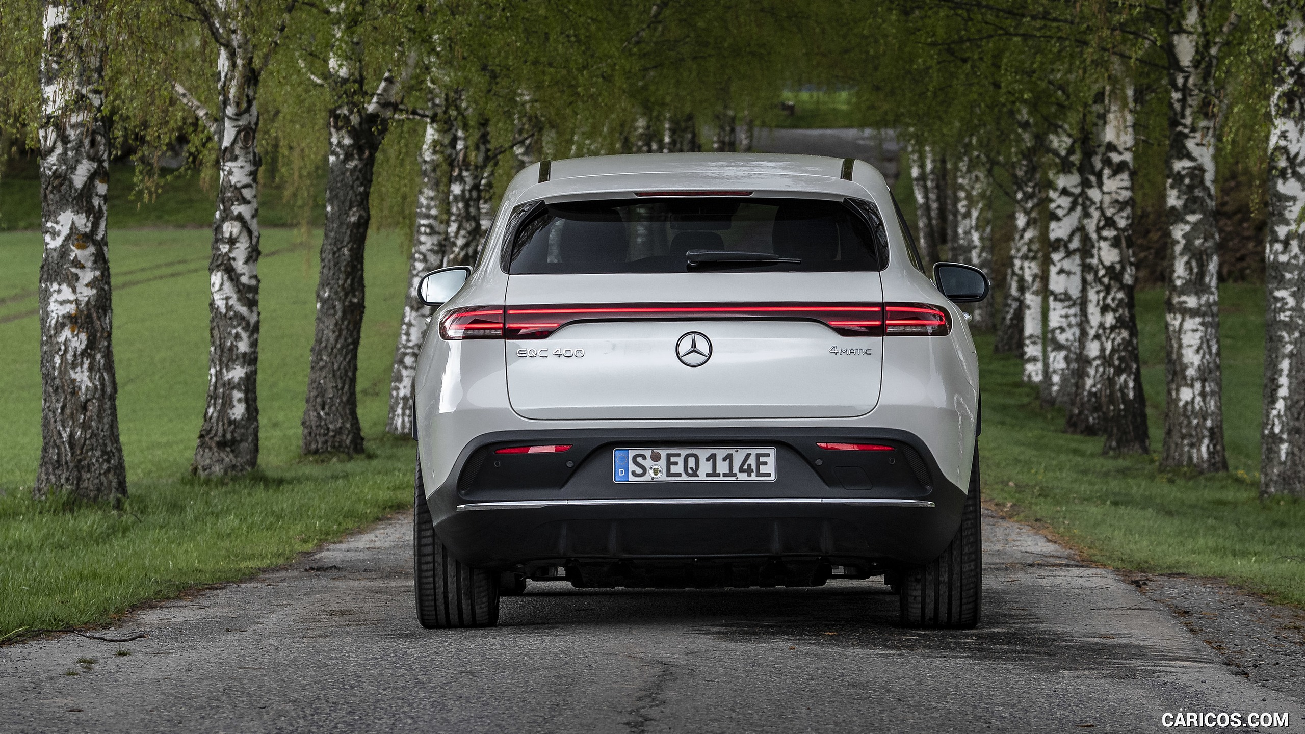 2020 Mercedes-Benz EQC (White) - Rear, #312 of 398