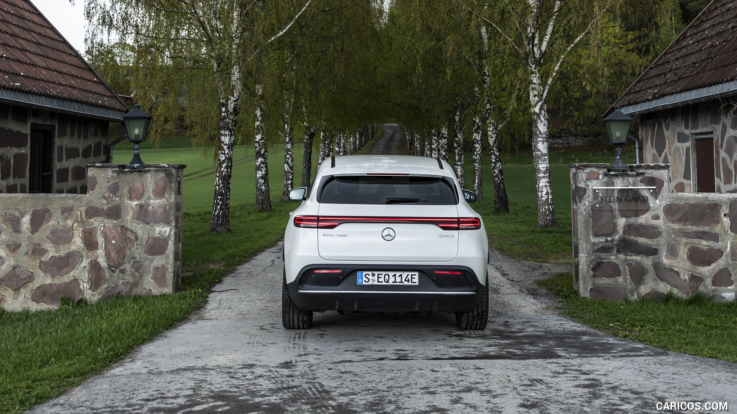 2020 Mercedes-Benz EQC (White) - Rear, #314 of 398