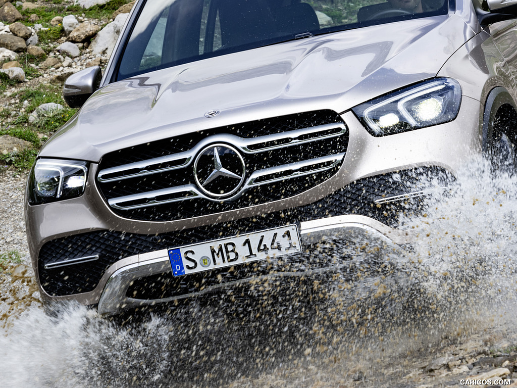 2020 Mercedes-Benz GLE (Color: Mojave Silver) - Detail