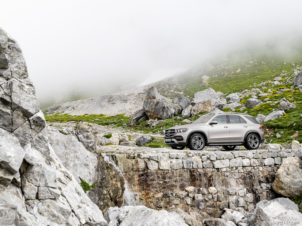 2020 Mercedes-Benz GLE (Color: Mojave Silver) - Side