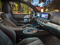 2020 Mercedes-Benz GLE 350 4MATIC (Color: Brilliant Blue; US-Spec) - Interior, Front Seats