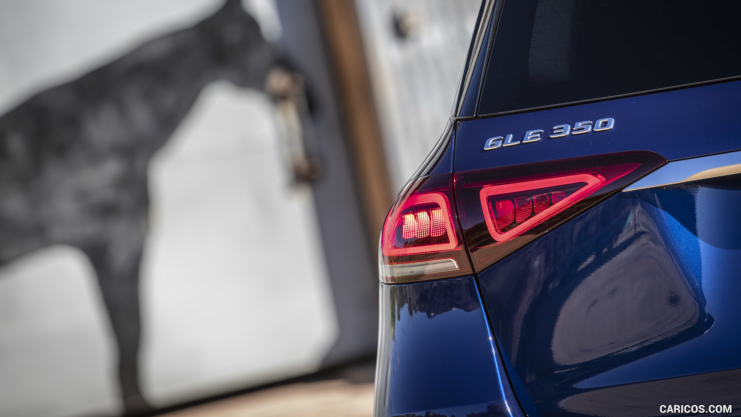2020 Mercedes-Benz GLE 350 4MATIC (Color: Brilliant Blue; US-Spec) - Tail Light, #239 of 358