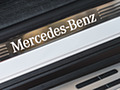 2020 Mercedes-Benz GLE 450 4MATIC (Color: Designo Diamond White Bright; US-Spec) - Door Sill