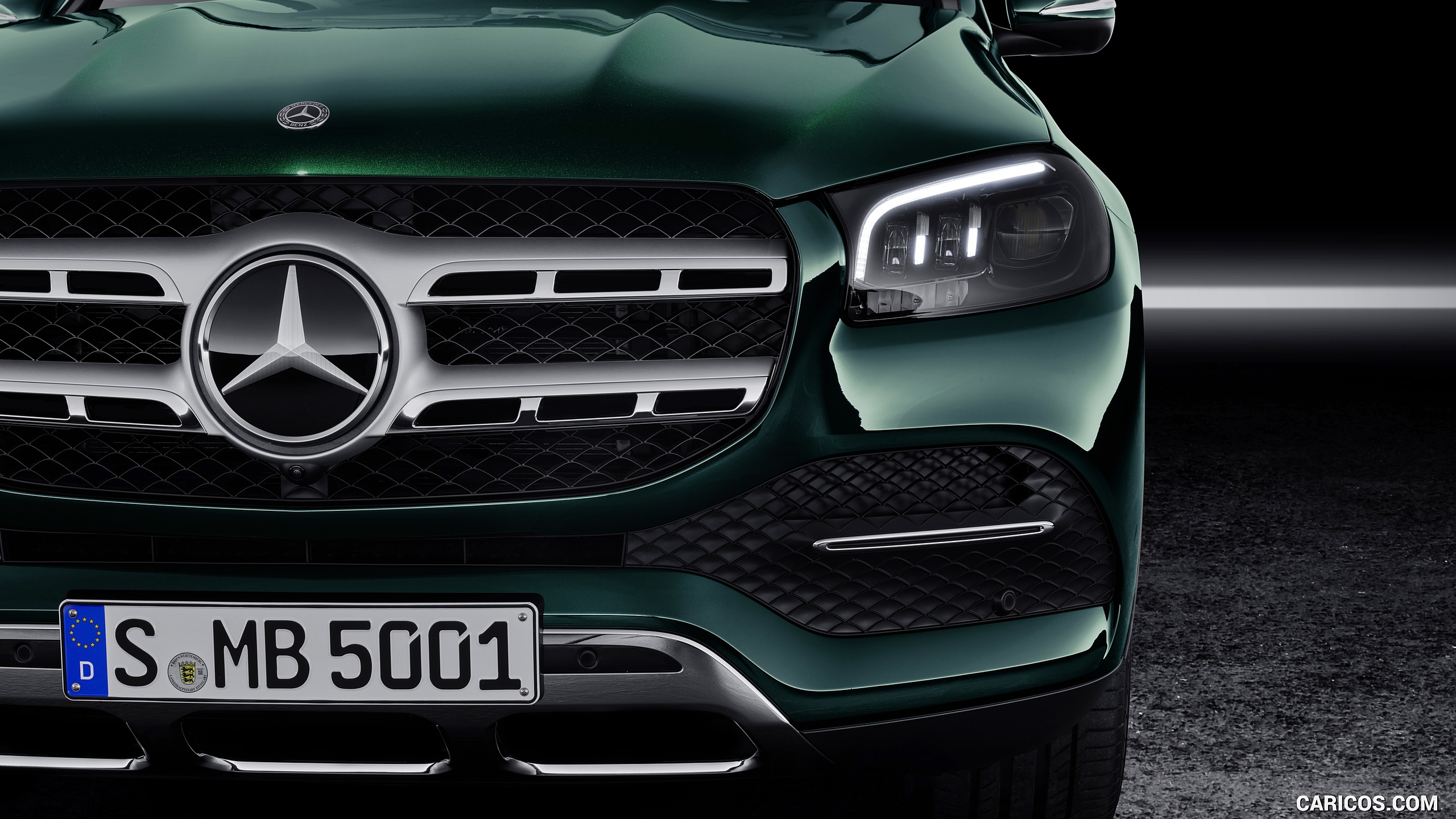 2020 Mercedes-Benz GLS (Color: Emerald Green) - Grille, #87 of 427