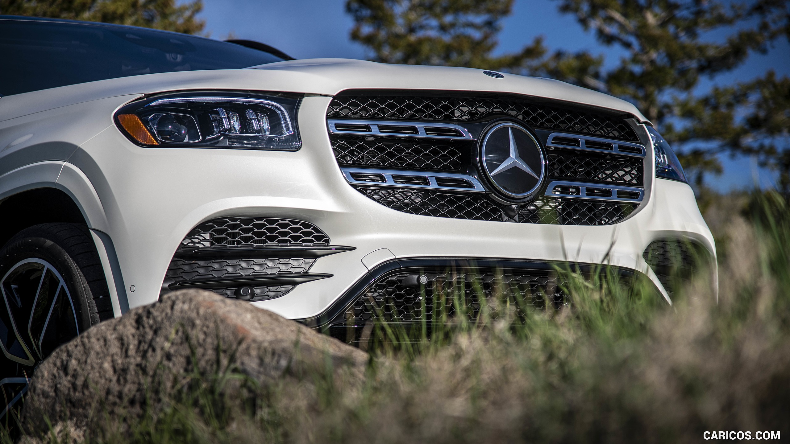 2020 Mercedes-Benz GLS 580 (Color: Diamond White; US-Spec) - Detail, #285 of 427