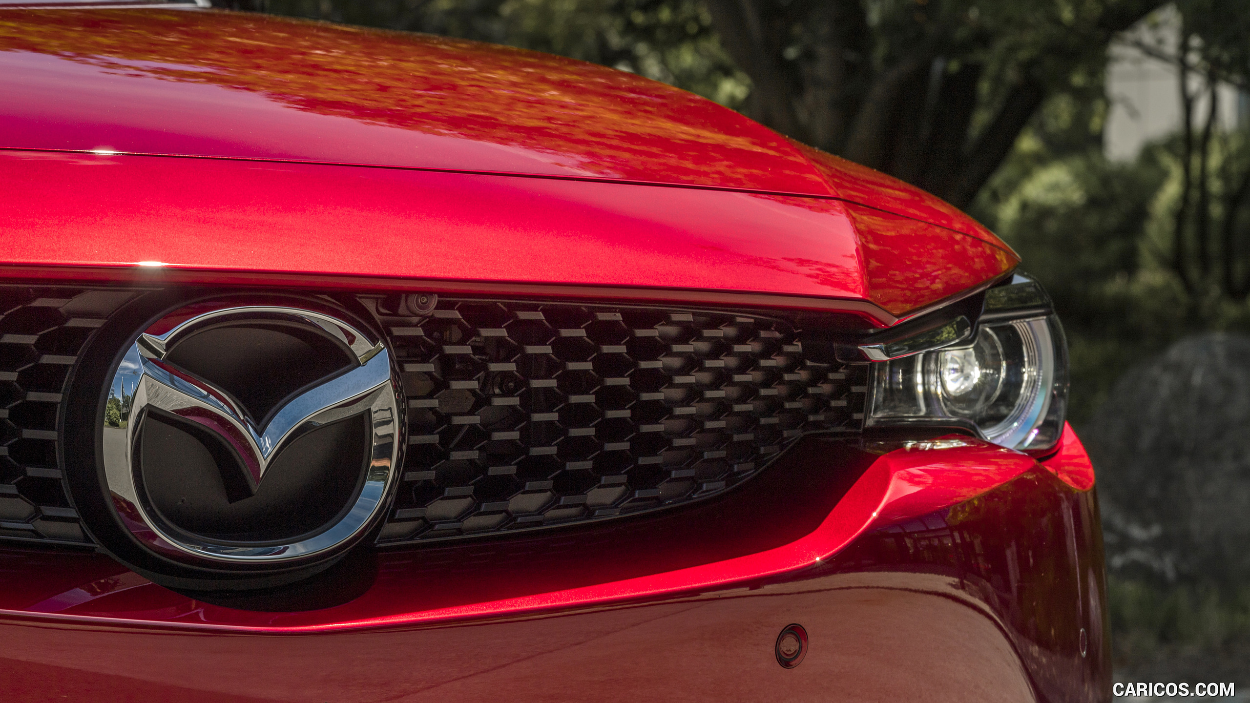 2021 Mazda MX-30 EV (Color: Soul Red Crystal) - Grille, #187 of 231