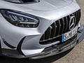 2021 Mercedes-AMG GT Black Series (Color: High Tech Silver) - Grille