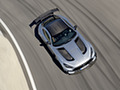 2021 Mercedes-AMG GT Black Series (Color: High Tech Silver) - Top