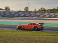 2021 Mercedes-AMG GT Black Series (Color: Magma Beam) - Side