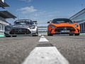 2021 Mercedes-AMG GT Black Series (Color: Magma Beam) and AMG GT3 Racing Car