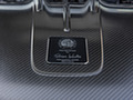 2021 Mercedes-AMG GT Black Series - Detail