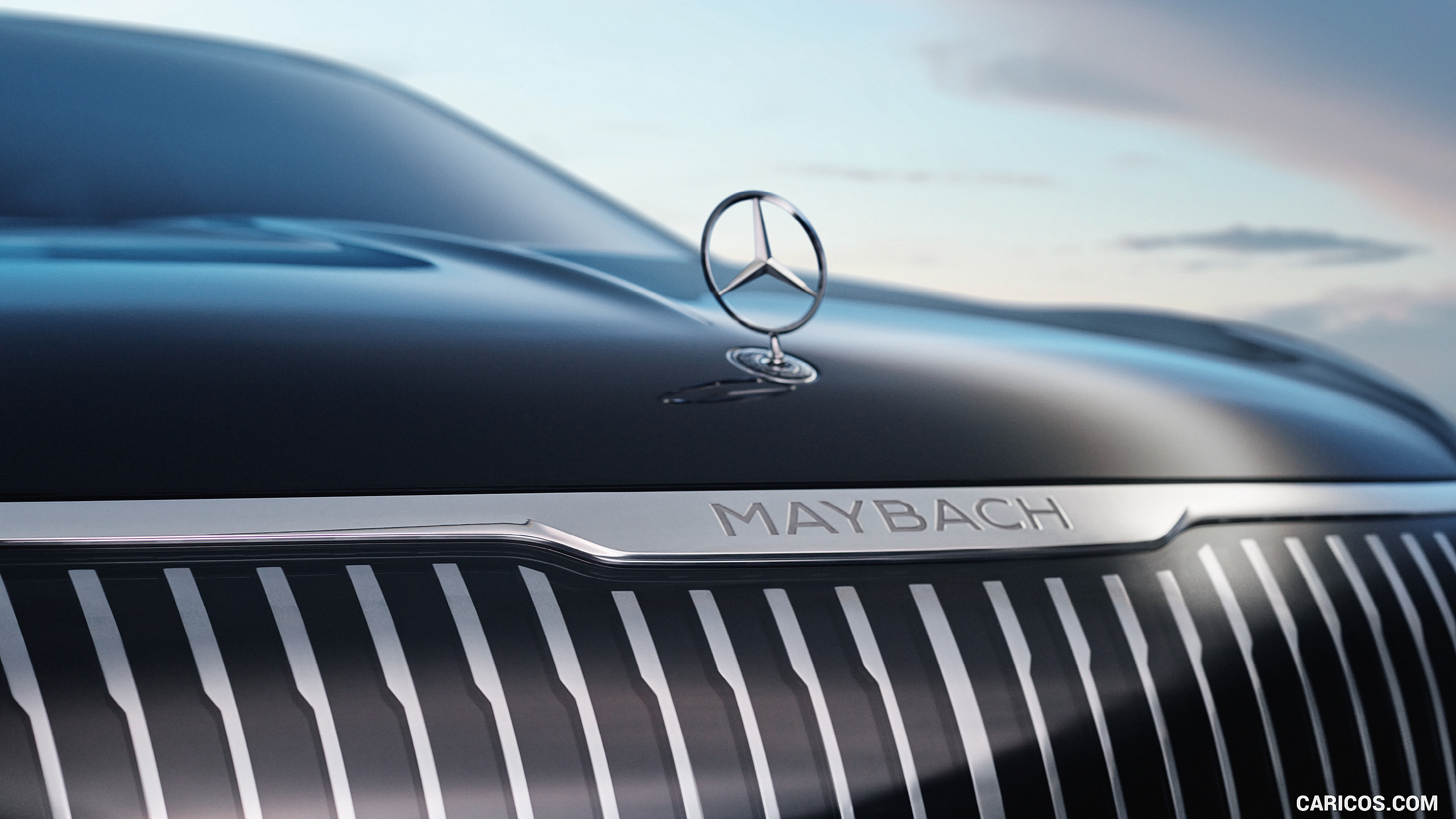 2021 Mercedes-Maybach EQS Concept - Detail, #11 of 29