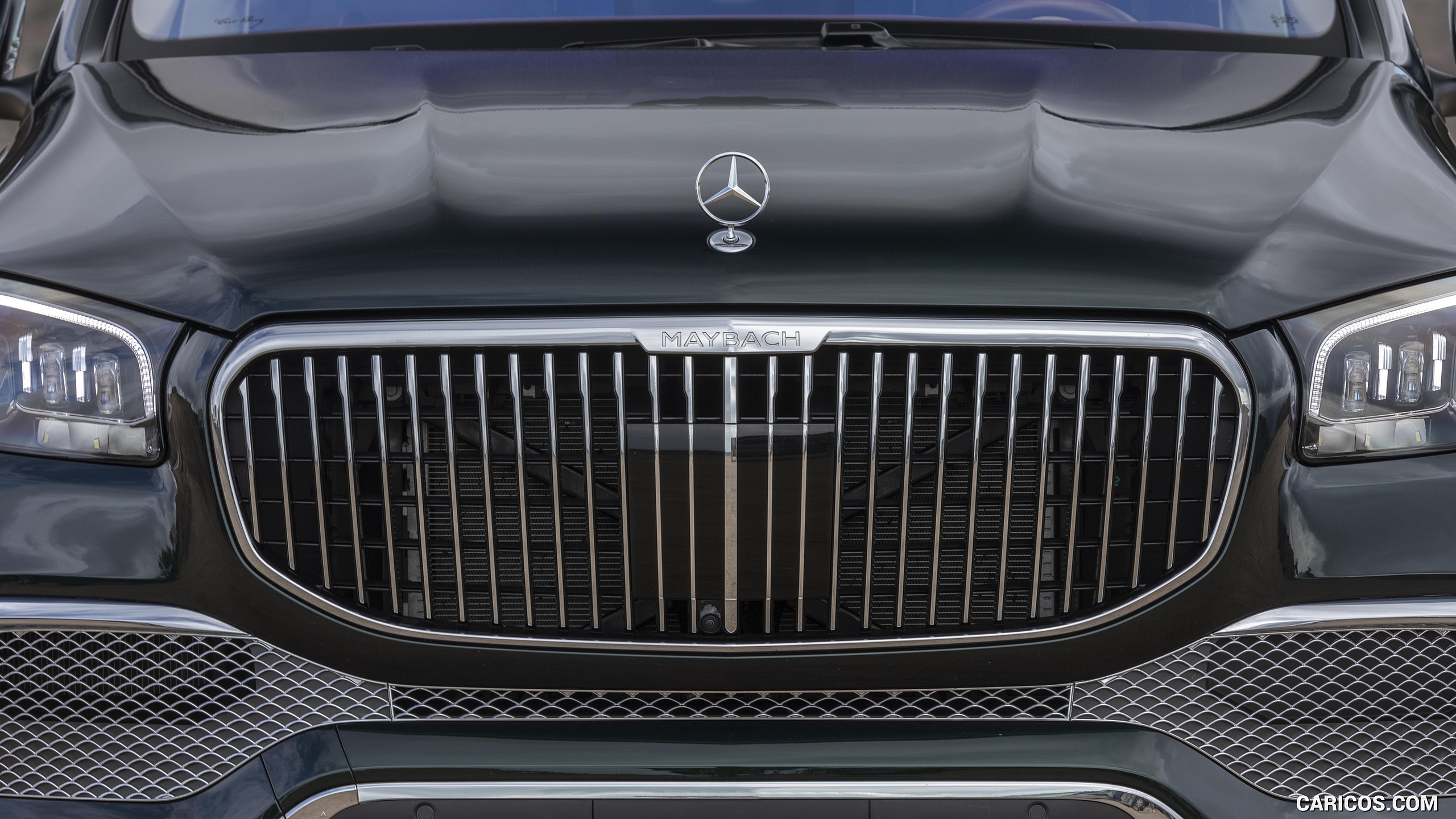 2021 Mercedes-Maybach GLS 600 (US-Spec) - Grille, #113 of 297