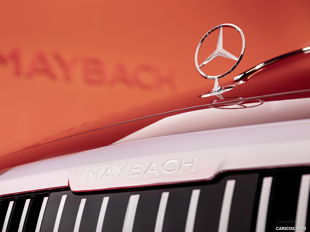 2021 Mercedes-Maybach S-Class (Color: Designo Patagonian Rot Bright) - Detail