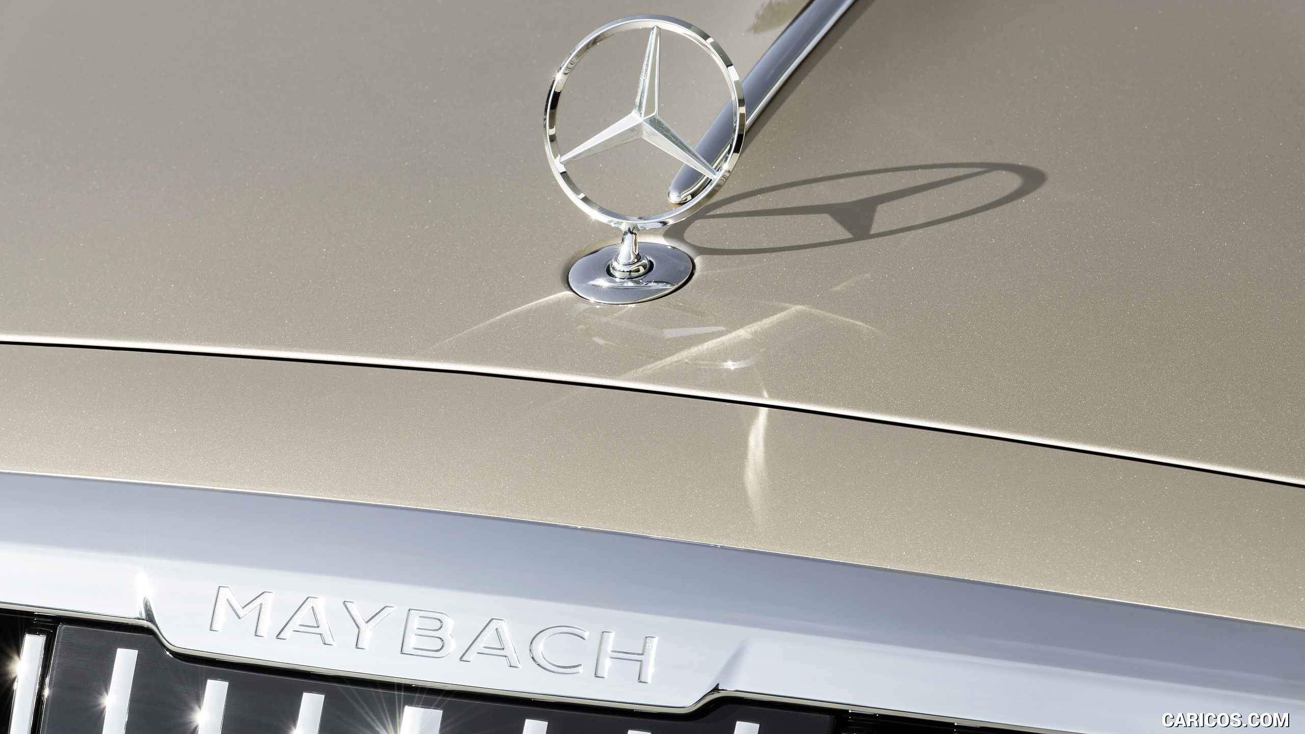 2021 Mercedes-Maybach S-Class (Color: Designo Rubellite Red / Kalahari Gold) - Badge, #25 of 157