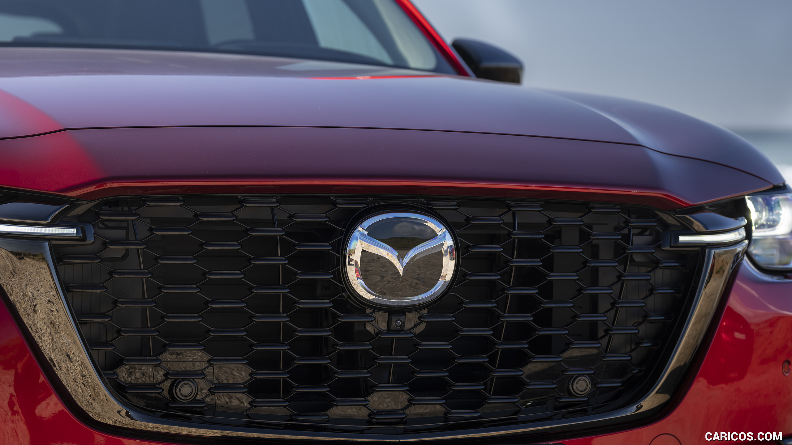 2023 Mazda CX-60 PHEV - Grille, #425 of 473