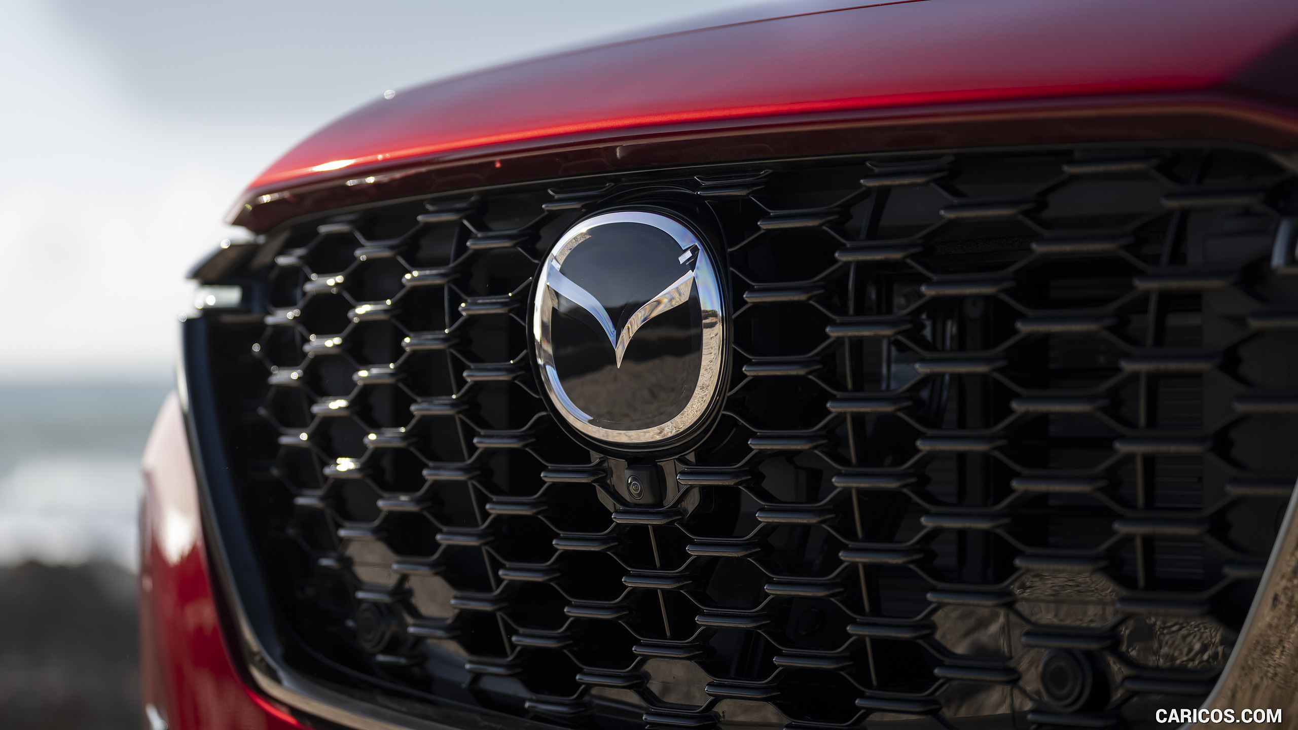 2023 Mazda CX-60 PHEV - Grille, #426 of 473