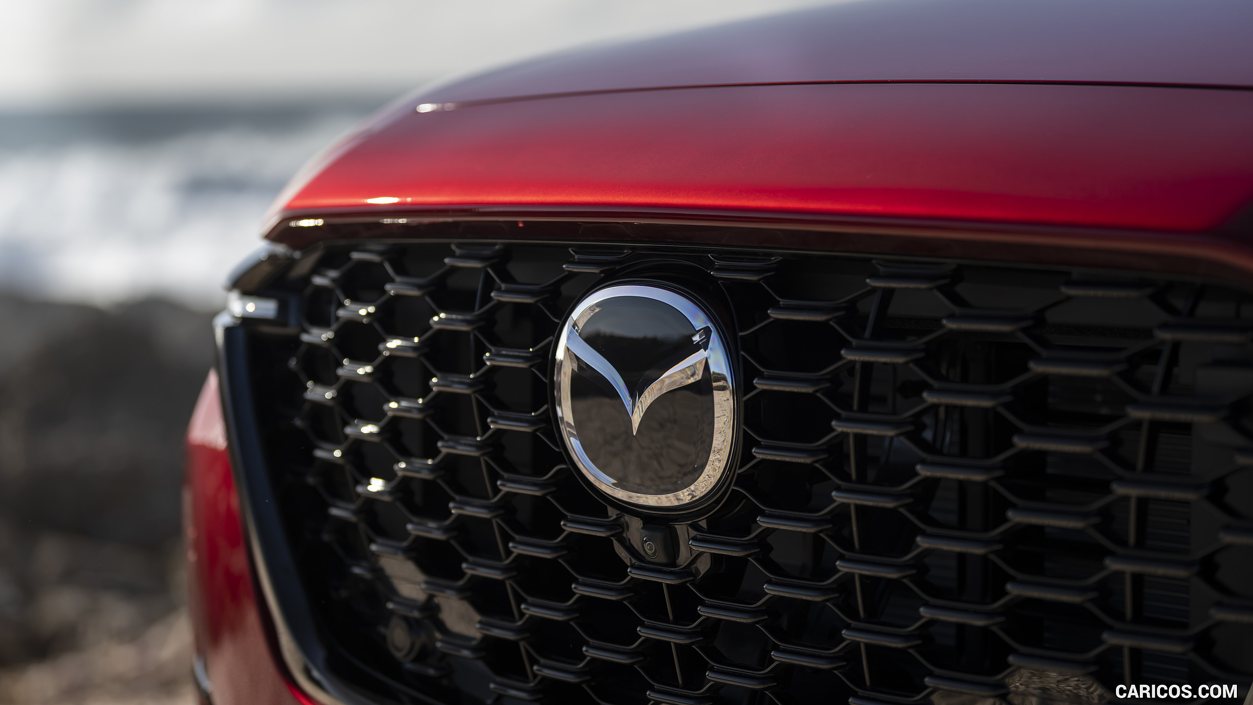 2023 Mazda CX-60 PHEV - Grille, #427 of 473