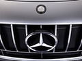 2023 Mercedes-AMG GT Track Series - Badge