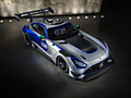 2024 Mercedes-AMG GT3 130Y Motorsport Edition - Top