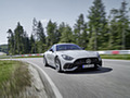 2025 Mercedes-AMG GT 63 PRO 4MATIC+ (Color: MANUFAKTUR Alpine Gray Solid) - Front