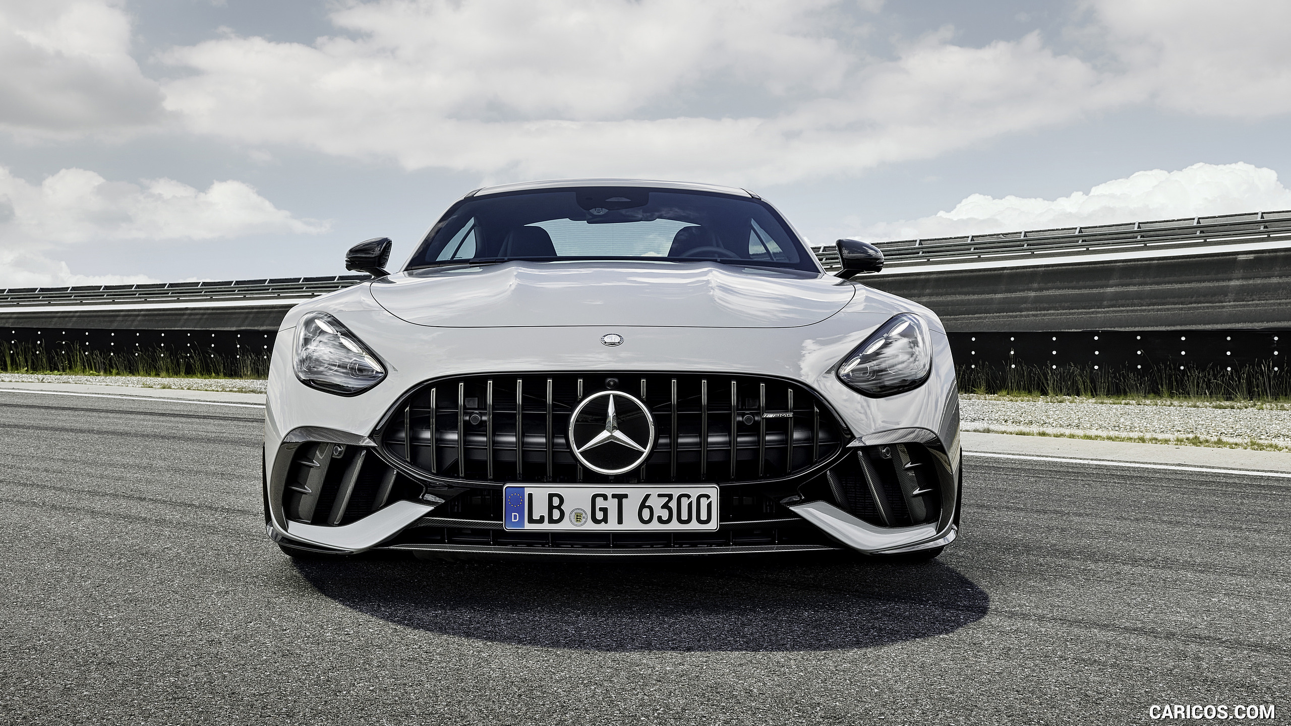 2025 Mercedes-AMG GT 63 PRO 4MATIC+ (Color: MANUFAKTUR Alpine Gray Solid) - Front, #24 of 44