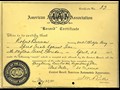 Blitzen-Benz 200-PS (1909) - Speed Record Certificate of the "American Automobile Association"